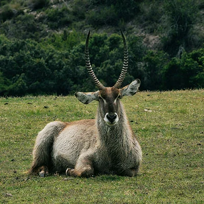 免费VPN节点 | 1月28日20.4M/S|免费SSR节点/Trojan节点/Singbox节点/Shadowrocket节点/Clash节点/V2ray节点节点推荐，在线Clash机场梯子购买推荐