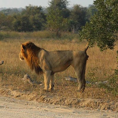 免费VPN节点 | 1月26日18.3M/S|免费SSR节点/Clash节点/Trojan节点/Singbox节点/V2ray节点/Shadowrocket节点节点推荐，在线Clash机场梯子购买推荐