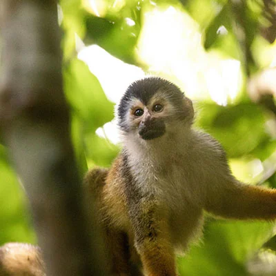 免费VPN节点 | 1月22日19.7M/S|免费SSR节点/Clash节点/Trojan节点/Singbox节点/Shadowrocket节点/V2ray节点节点推荐，在线Clash机场梯子购买推荐