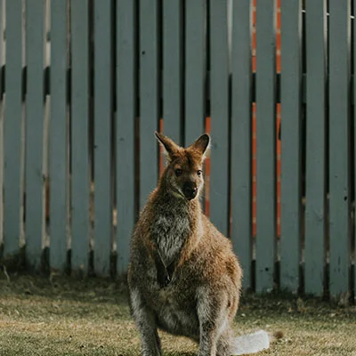 2018年全球互联网自由指南：科学上网全攻略与深度解析